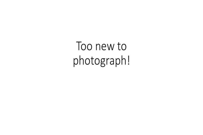 Photo of property in 2/7 Larne Avenue, Pakuranga Heights, Auckland, 2010