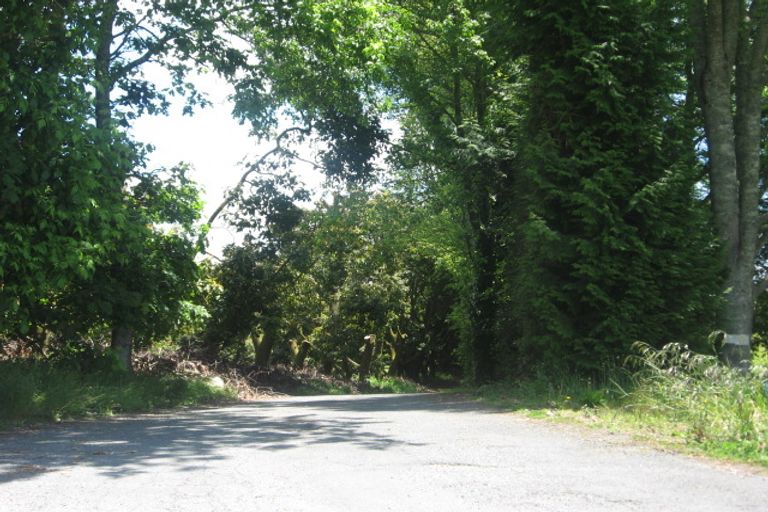 Photo of property in 134 Wairoa Road, Minden, Tauranga, 3171