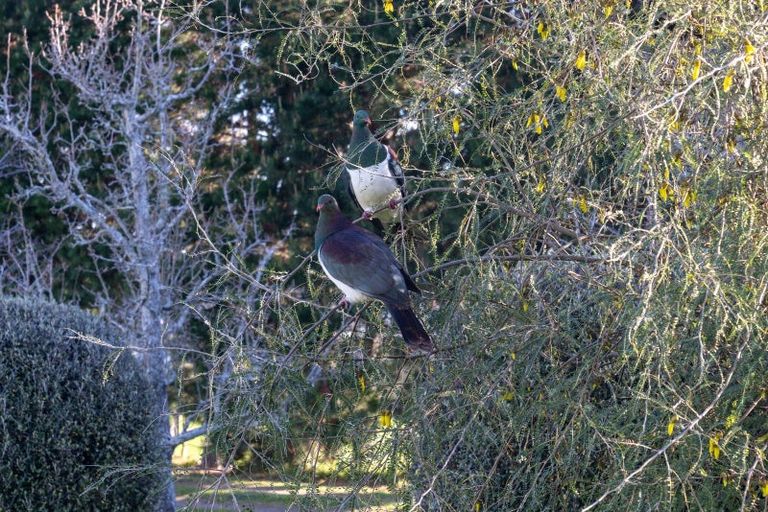 Photo of property in 97 Otaki Gorge Road, Hautere, Otaki, 5582