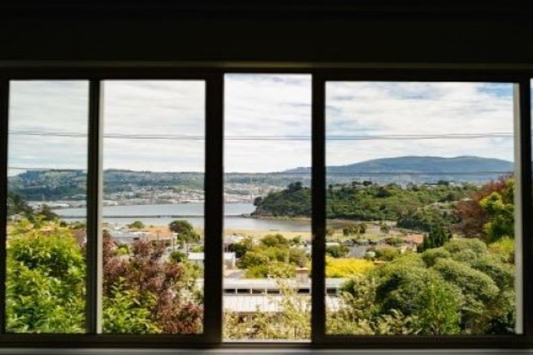 Photo of property in 3 Highcliff Road, Andersons Bay, Dunedin, 9013