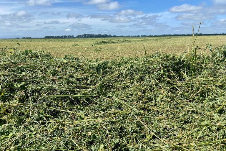 Photo of property in 784 Wrights Road, Oxford, 7495