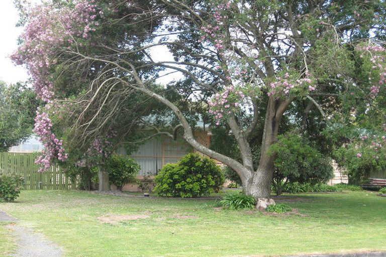 Photo of property in 13 Froude Street, Leamington, Cambridge, 3432