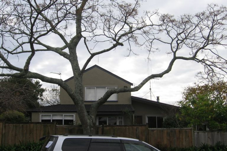 Photo of property in 6 Elmes Place, Matua, Tauranga, 3110