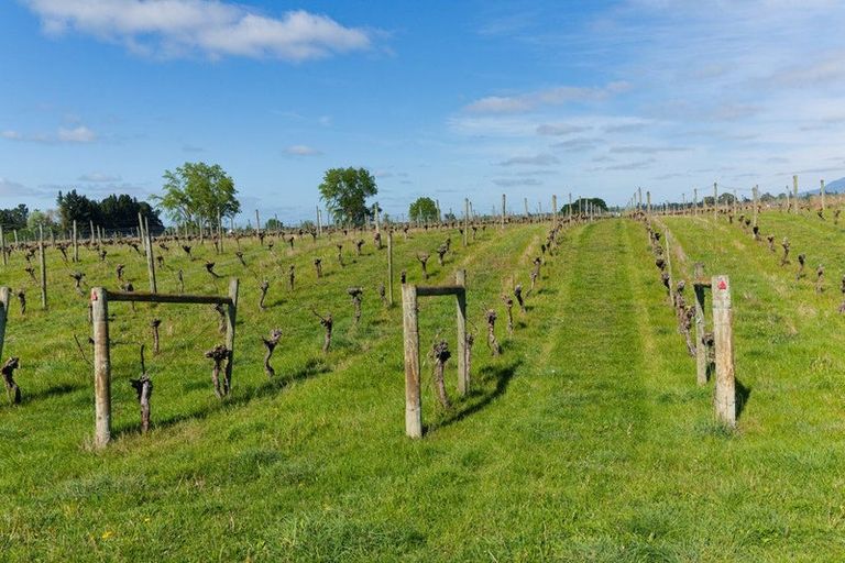 Photo of property in 35 Brighton Street, Island Bay, Wellington, 6023