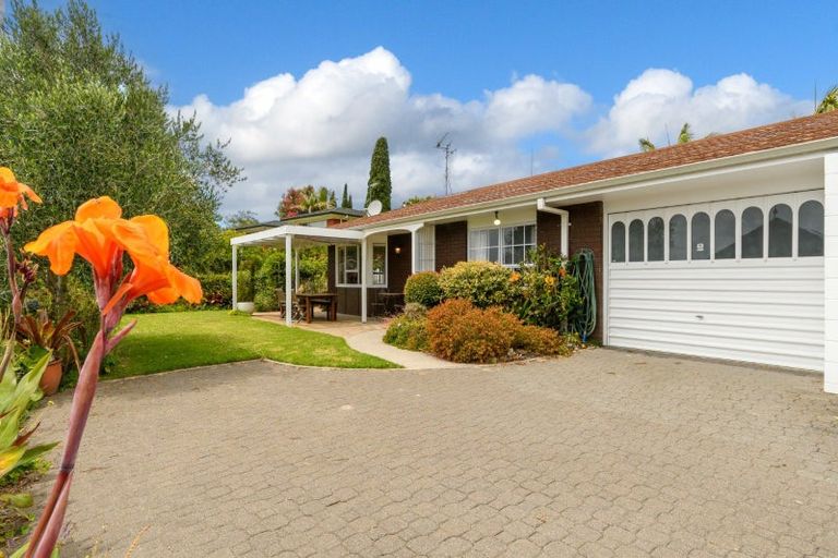 Photo of property in 3b Benjamin Place, Matua, Tauranga, 3110