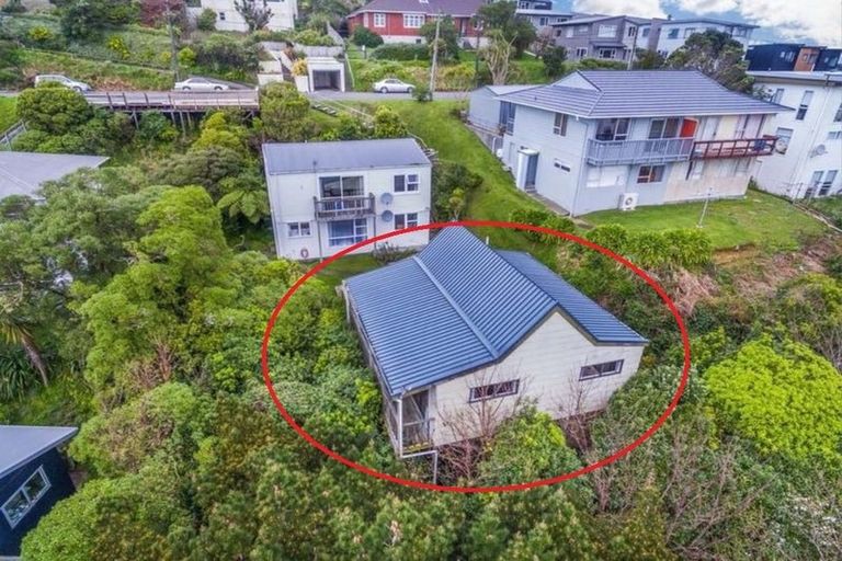 Photo of property in 55 Mandalay Terrace, Khandallah, Wellington, 6035