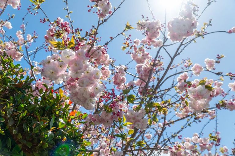 Photo of property in 8 Divide Loop, Takanini, 2112