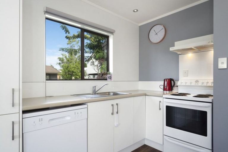 Photo of property in 80b Coopers Road, Gate Pa, Tauranga, 3112