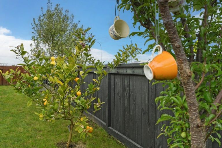 Photo of property in 62 Farrier Street, Papamoa, 3118