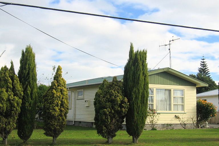 Photo of property in 6 Coleman Street, Paraparaumu, 5032