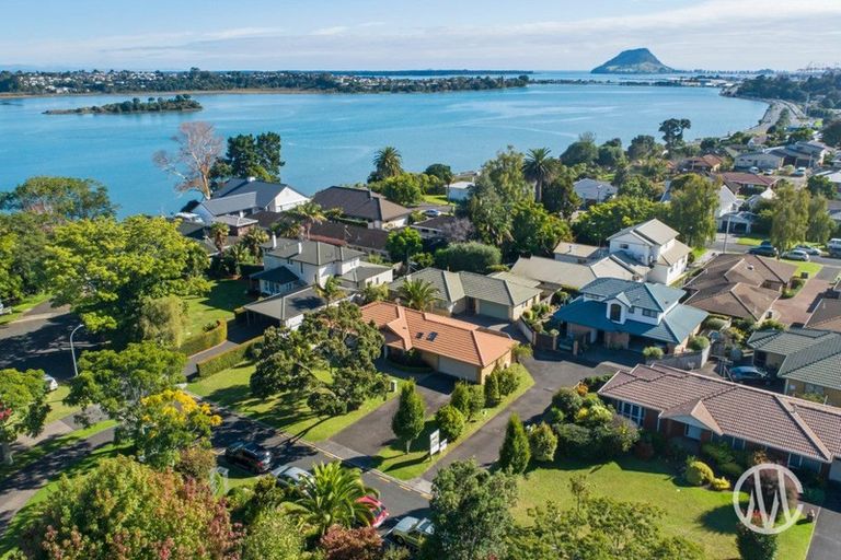Photo of property in 93 Eighth Avenue, Tauranga, 3110