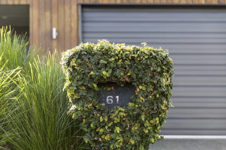 Photo of property in 61 Hastings Road, Pyes Pa, Tauranga, 3112