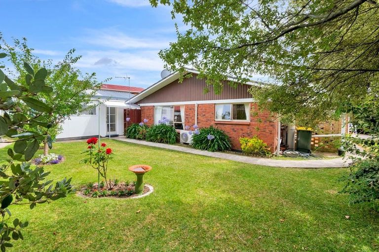 Photo of property in 1/149 Farquhar Road, Glendene, Auckland, 0602