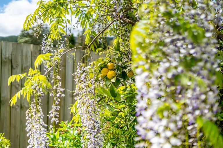 Photo of property in 94 Mcleod Street, Elderslea, Upper Hutt, 5018