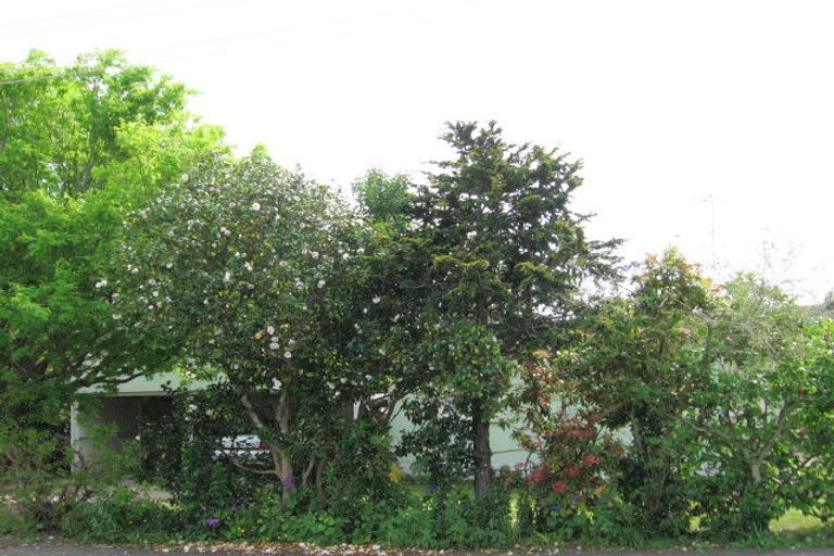 Photo of property in 31 Oak Street, Mangapapa, Gisborne, 4010