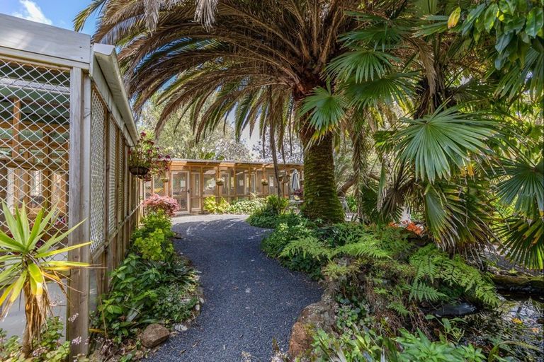 Photo of property in 105 Kapiro Road, Kerikeri, 0294