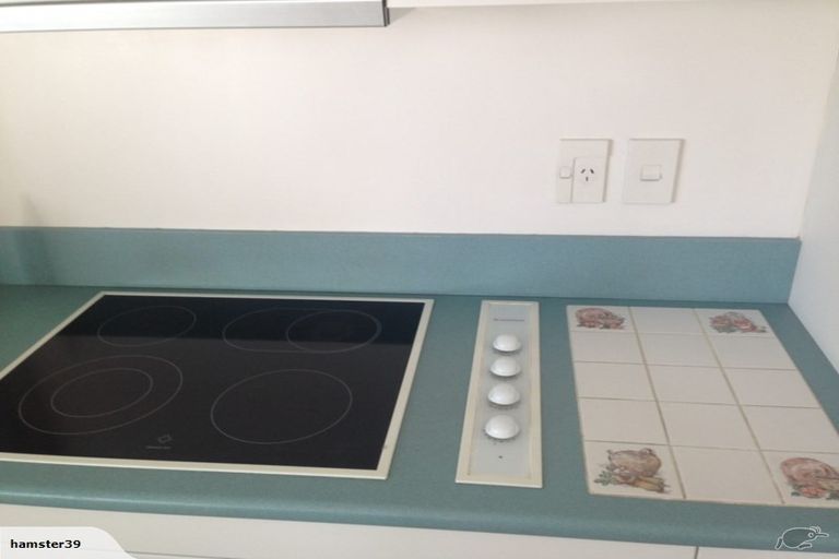 Photo of property in 87 Carlton Street, Te Awamutu, 3800