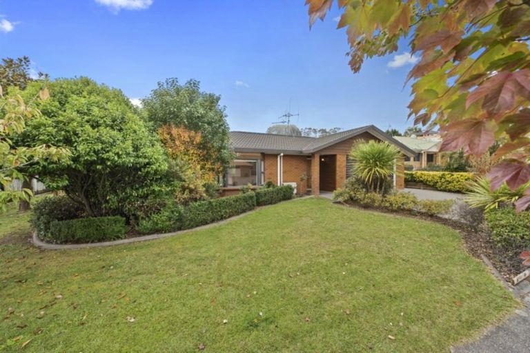 Photo of property in 263 Grandview Road, Western Heights, Hamilton, 3200