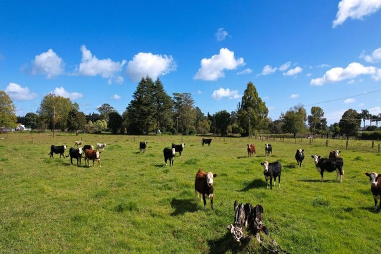 Photo of property in 31 Ludbrook Road, Pakaraka, Kaikohe, 0472