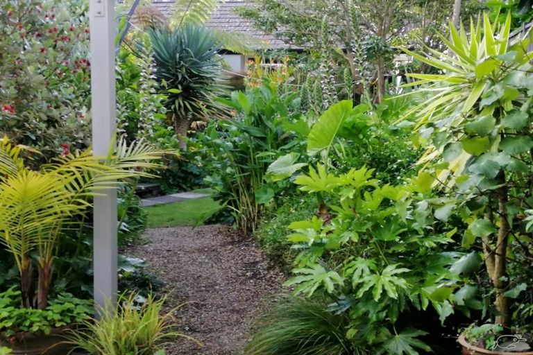 Photo of property in 1/52 Hine Street, New Plymouth, 4310