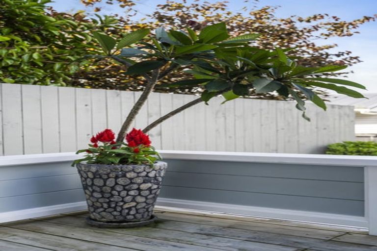 Photo of property in 2/9 Lancaster Road, Beach Haven, Auckland, 0626