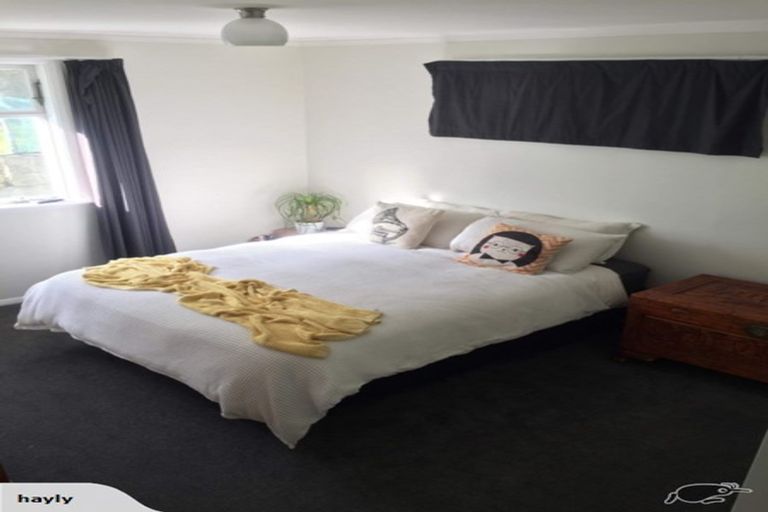 Photo of property in 117 Tauhinu Road, Miramar, Wellington, 6022