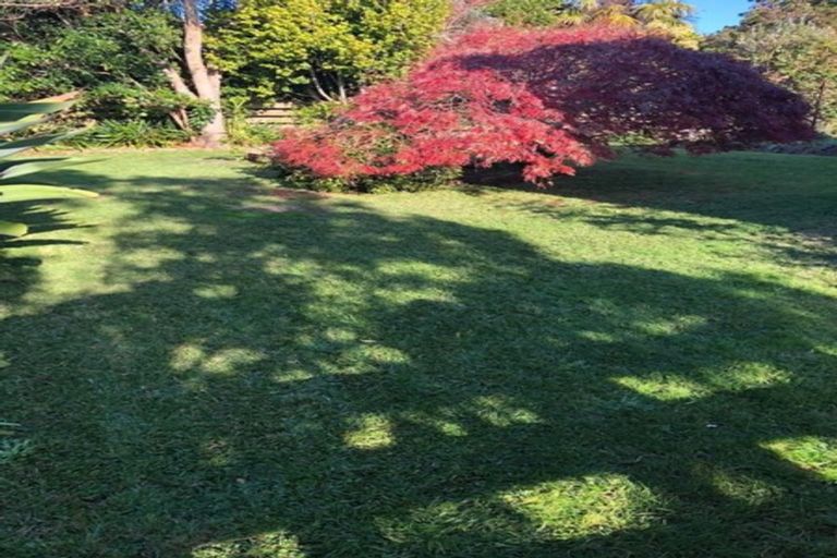 Photo of property in 31 Hamurana Road, Omokoroa, 3114