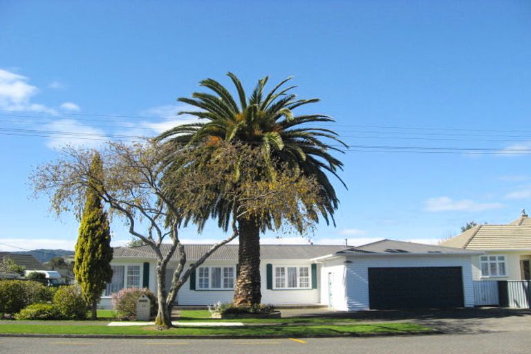 Photo of property in 76 Queenwood Road, Levin, 5510