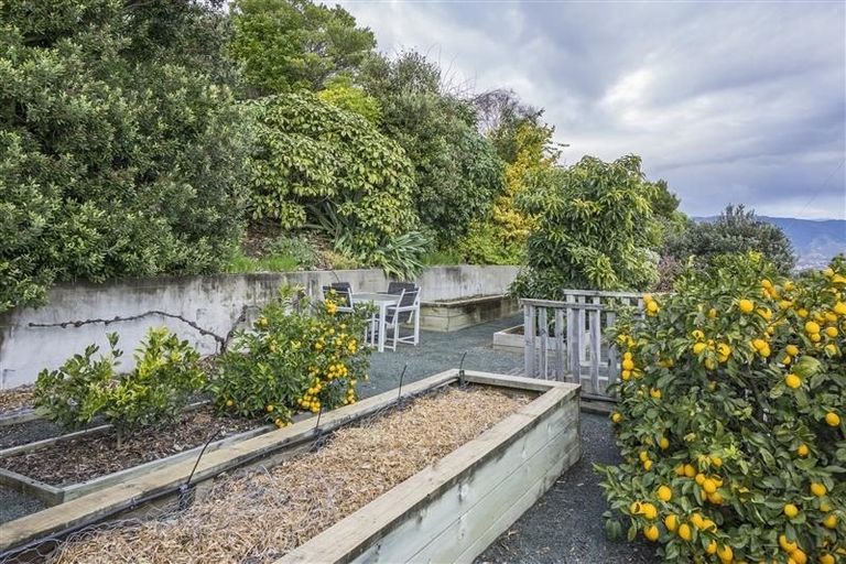 Photo of property in 14 Orakei Street, Tahunanui, Nelson, 7011