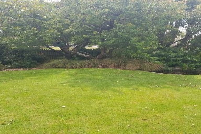 Photo of property in 54 Wilson Street, Geraldine, 7930