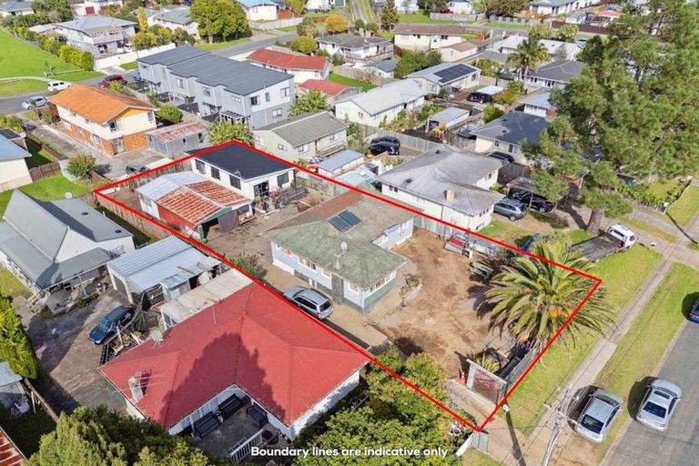 Photo of property in 19 Larnoch Road, Henderson, Auckland, 0610