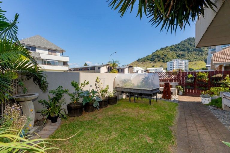 Photo of property in 17a Commons Avenue, Mount Maunganui, 3116