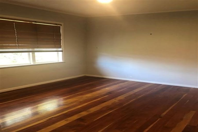 Photo of property in 17 Mildmay Road, Henderson, Auckland, 0610