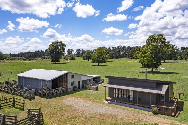 Photo of property in 131 Tarr Road, Ohaupo, 3881