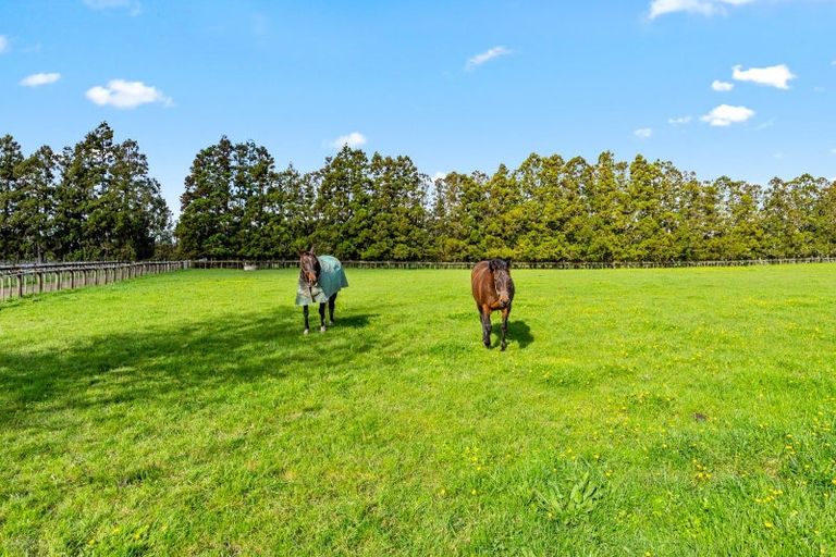 Photo of property in 42 Dysart Lane, Kumeu, 0891