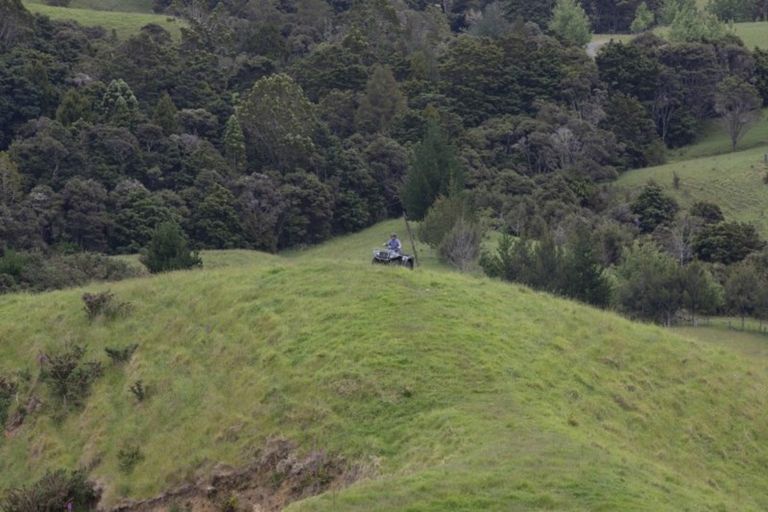 Photo of property in 158 Kereru Lane, Kaiwaka, 0573