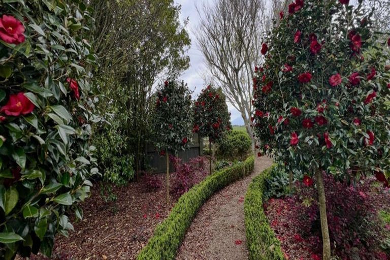 Photo of property in 574 Wardville Road, Wardville, Waharoa, 3474