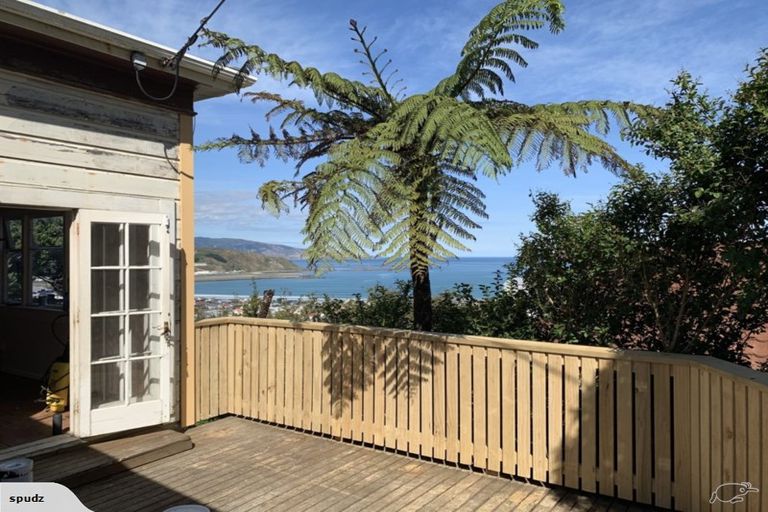 Photo of property in 45 Sutherland Road, Melrose, Wellington, 6023