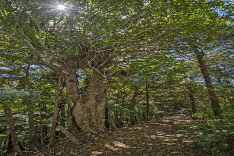 Photo of property in 31 Waitorupai Way, Matapouri, Whangarei, 0173