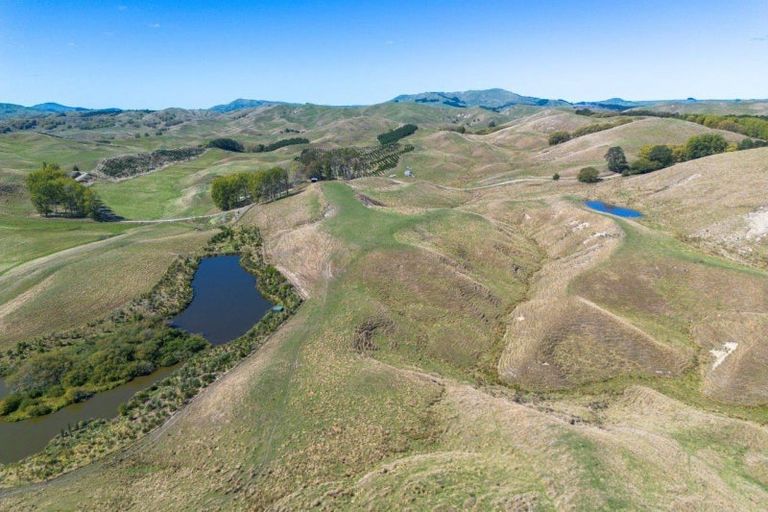 Photo of property in 300 Pattison Road, Akina, Hastings, 4122