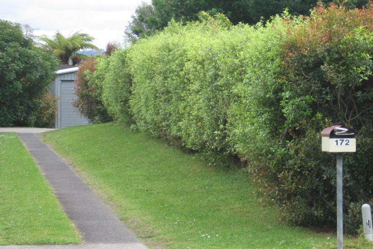 Photo of property in 172 Park Road, Katikati, 3129