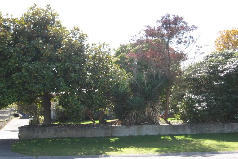Photo of property in 186 Tamamutu Street, Taupo, 3330
