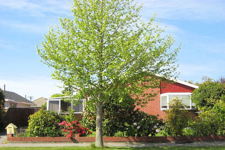 Photo of property in 12 Ambleside Drive, Burnside, Christchurch, 8053