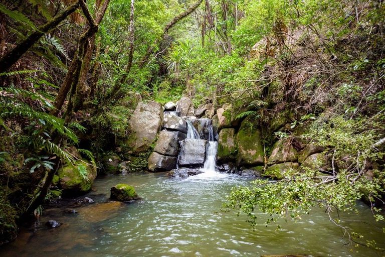 Photo of property in 6754 State Highway 12, Waimamaku, Kaikohe, 0473