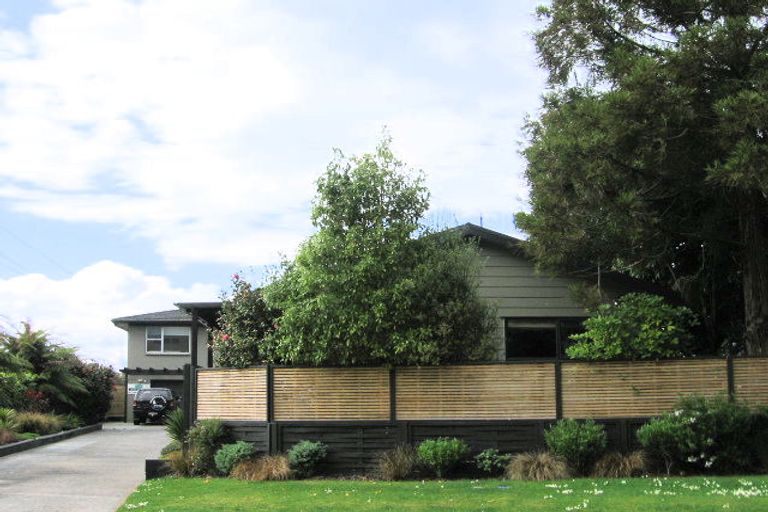 Photo of property in 41 Operiana Street, Ngongotaha, Rotorua, 3010
