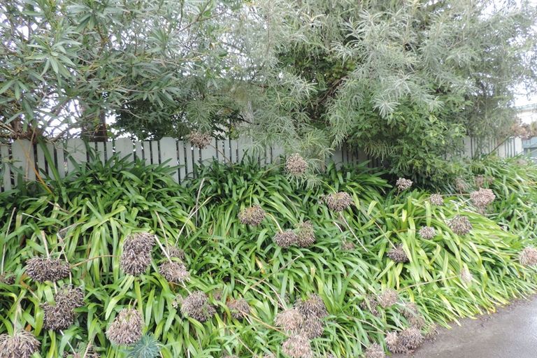 Photo of property in 33 Smith Street, Matamata, 3400