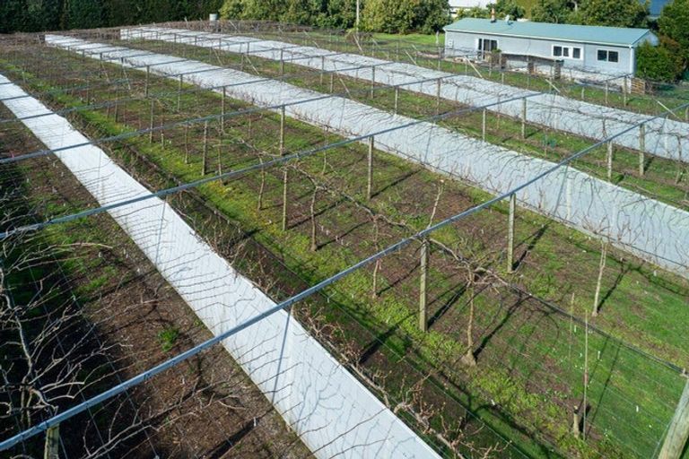 Photo of property in 154b Wairoa Road, Minden, Tauranga, 3171