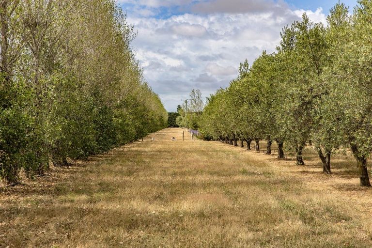 Photo of property in 179 Racecourse Road, Amberley, 7482