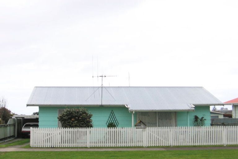 Photo of property in 16 Adkin Avenue, Levin, 5510