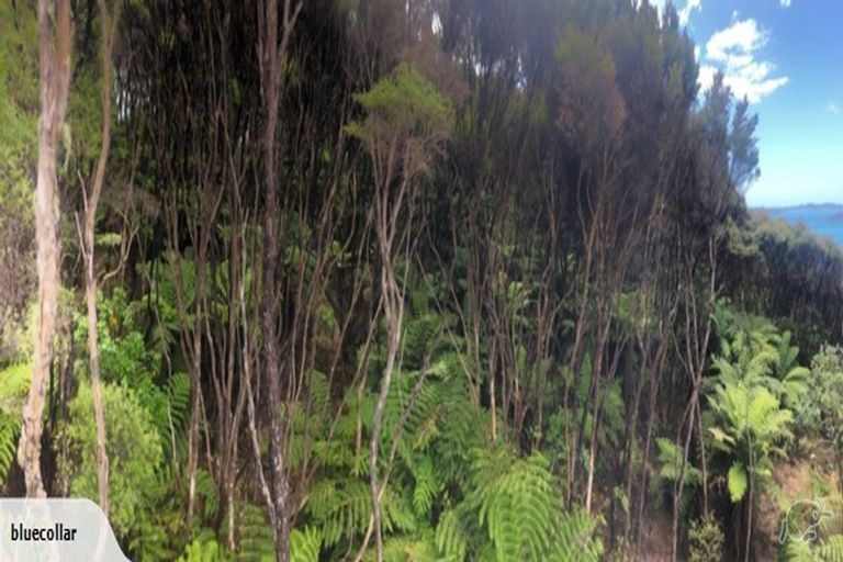 Photo of property in 193 Huaroa Road, Russell, 0272